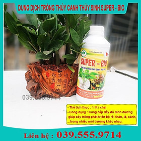 DUNG DỊCH THỦY CANH SUPER-BIO CHAI 1 LÍT - GIÚP CÂY PHÁT TRIỂN