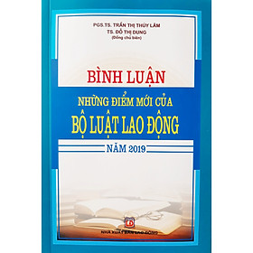 Bình Luận Những Điểm Mới  Của Bộ Luật Lao Động Năm 2019