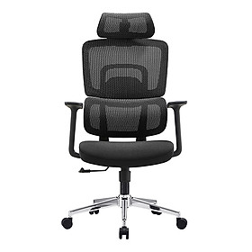 Mua Ghế công thái học E-Dra EEC219 - Hàng Chính Hãng