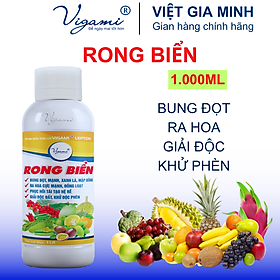 Mua Phân bón Vigami Lepton Rong Biển - BUNG ĐỌT  MẬP ĐỌT  RA HOA MẠNH  CẢI THIỆN BỘ RỄ - 1000ml