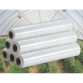 Mua Màng Ni lông khổ 140 cm-80cm dùng trong nông nghiệp quây mạ  chống chuột