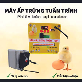 Bộ máy ấp trứng cacbon tích hợp đèn led chiếu sáng bên trong cho gà vịt ngan ngỗng hàng nhập khẩu