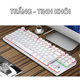 Bàn phím cơ Coputa Bàn phím cơ TKL gaming chơi game Full LED RGB K550