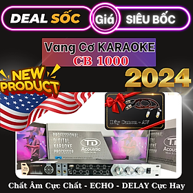 Vang Cơ - Vang Karaoke TD Acounstic - Âm Thanh Hay - ECHO - DELAY Cực Hay - Giá Cực Rẻ - Hàng Nhập Khẩu