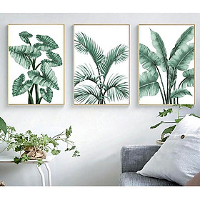 Tranh treo tường | Tranh cây lá nhiệt đới, bộ 3 tranh Lá Monstera