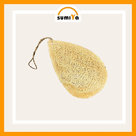 Mua Dụng cụ rửa chén/ ly xơ mướp  bùi nhùi  chữ nhật  gọt nước  cọ bình