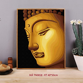 Tranh sơn dầu số hóa tự tô màu nhũ mã TN0858 Tranh màu nhũ ánh vàng hình Phật tổ