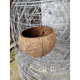 Mua gáo dừa cho gà ăn  uống nước