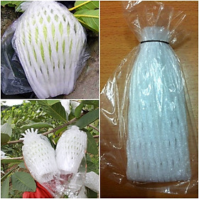 Xốp bọc ổi 1kggửi tối đa 1kg