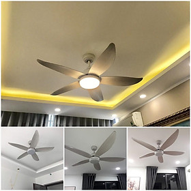Mua quạt trần trang trí  ( đèn trang trí + điều khiển)