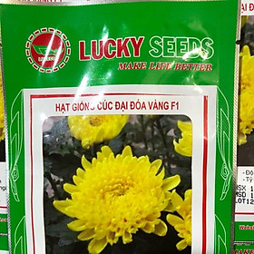 Mua HẠT GIỐNG HOA CÚC ĐẠI ĐOÁ VÀNG (CÚC BÌNH MINH)
