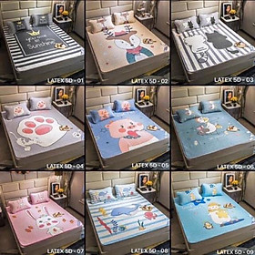 Mua Chiếu điều hoà cao su non Latex 5D( cam kết hàng loại 1)