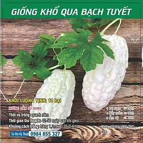 Mua GIỐNG KHỔ QUA BẠCH TUYẾT