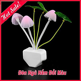 Mua Đèn Ngủ Nấm Cảm Ứng Ánh Sáng Đổi Màu