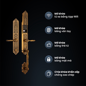 Mua Khóa điện tử FS009FGB BRASS