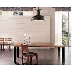 Đèn thả phong thái truyền thống TH 713 kèm bóng led DT