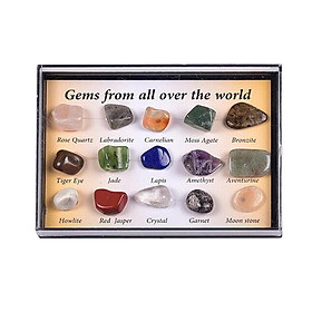15 Pieces Rock and Mineral Educational Collection & Deluxe Collection Box