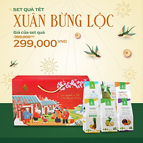 Set quà tết Xuân Bừng Lộc Nonglamfood Bộ quà tặng người thân, bạn bè