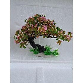 Bonsai bể cá - bonsai hòn non bộ - Bonsai hoa hồng,KT:N30cm×R14cm×C23cm