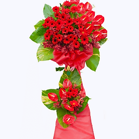 Mua Hoa Khai Trương – 214