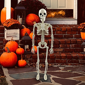 Halloween Skeleton Figurine Full Body Movable Joints Skeletons for Lawn Home