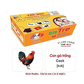 Bộ Thẻ Học Thông Minh 18 Chủ Đề TGXQ loại To song ngữ A-V loại chuẩn Glenn Doman Flashcard cho bé từ 0-6 tuổi