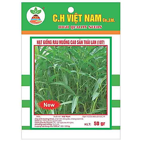 3 Gói Hạt Giống Rau Muống Cao Sản Thái Lan( 50gr/ gói)