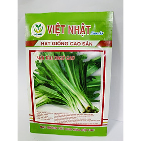 Hạt giống mùi tàu  cao sản
