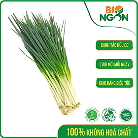 [Chỉ Giao HCM] - Hành Lá Baby Hữu Cơ (Gói 50g)