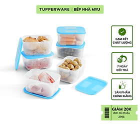 Bộ Hộp Tupperware Trữ Đông Freezermate 650ml - Hàng Chính Hãng