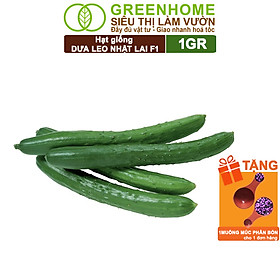 Mua Hạt Giống Dưa Leo Nhật Lai F1 Greenhome  Gói 1GR  Dễ Trồng Quanh Năm  Nảy Mầm Cao  T24