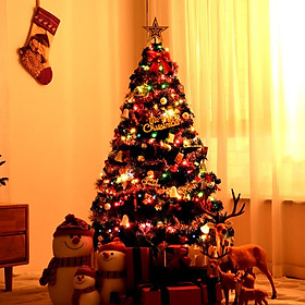 Mua Cây thông noel cao 1m5 tặng kèm bộ phụ kiện