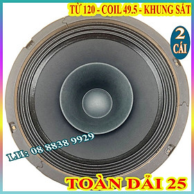 LOA BASS 25 TOÀN DẢI COIL 50 CAO CẤP GỒM CẢ BASS VÀ TREBLE CHÍNH HÃNG - GIÁ 1 CẶP