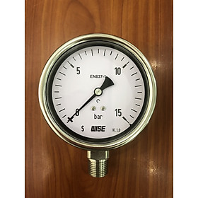 Dụng cụ đo áp suất P252-100A - dãy đo bar
