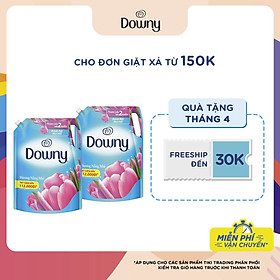 Combo 2 Túi nước xả vải Downy Nắng Mai (2.4l/Túi)