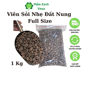 Mua 1kg Viên Sỏi Nhẹ Đất Nung - Full Size Trồng Lan  Trồng Cây  Sen Đá  làm hệ thống lọc