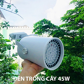 Mua Đèn Trồng Cây Trong Nhà - Đèn Nông Nghiệp 45W tạo ánh sáng  giả lập mặt trời  giúp cây trong nhà phát triển nhanh  hạn chế sâu bệnh và trang trí cảnh quan