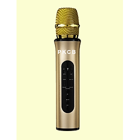 Micro Karaoke Bluetooth hệ thệ mới âm thanh HIFI - HÀNG CHÍNH HÃNG