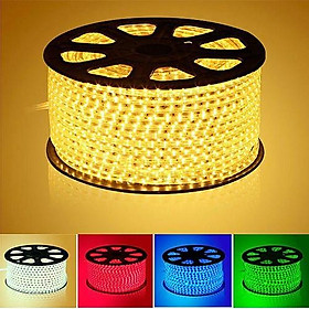 Mua Đèn LED dây trang trí  hắt trần loại 2 mắt 1 hàng  dây đồng chống ẩm tuyệt đối ( mua trên 15m tặng nguồn)