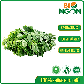 [Chỉ Giao HCM] - Rau Ngót Baby Hữu Cơ (Gói 250g)