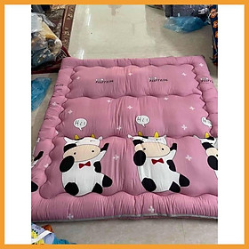 Mua Hàng Auth- Nệm Topper cao cấp Topper Tấm làm mềm đệm êm mẫu mới nhất