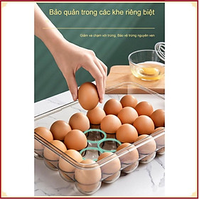 Hộp đựng bảo quản trứng  Fresh&Dial 