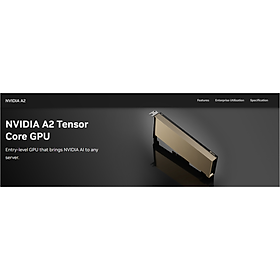 Mua Card đồ họa Nvidia A2 Ampere 16GB GDDR6 PCIe 4.0 - Hàng chính hãng