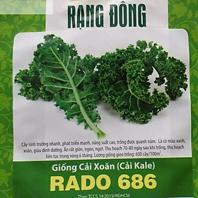 RADO - Hạt Giống Cải Xoăn Kale - Trồng Rau Xanh Rau Sạch Bằng Đất Sạch, Xơ Dừa Và Phân Bón Hữu Cơ