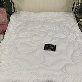 Mua Ruột chăn đông Bambilo  3kg