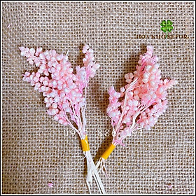 Mua Hoa khô Cao Lương nguyên liệu làm nến thơm  đồ handmade  trang trí