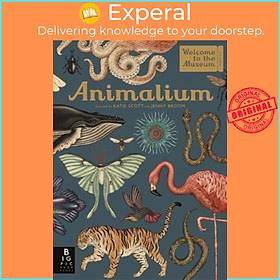 Sách - Animalium by Jenny Broom (UK edition, hardcover)