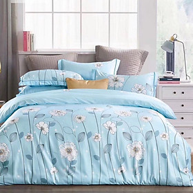 Bộ drap gối Tencel vải Hàn Quốc , đỉnh cao mát , mềm mại { drap và 3 áo gối} - 1m6 x 2m
