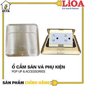 Ổ cắm điện âm sàn LiOA - Ổ đôi 3 chấu