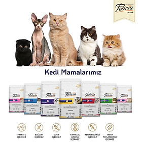 Thức ăn cho mèo mọi lứa tuổi Felicia hỗ trợ tiết niệu,đẹp lông & da, hỗ trợ tiêu hoá - Xuất xứ Thổ Nhĩ Kỳ
